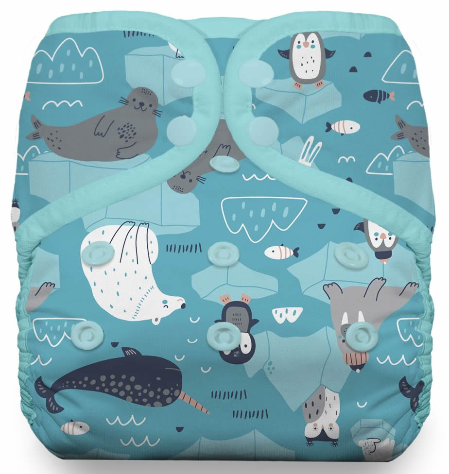 Thirsties Natural Pocketwindel SNAP